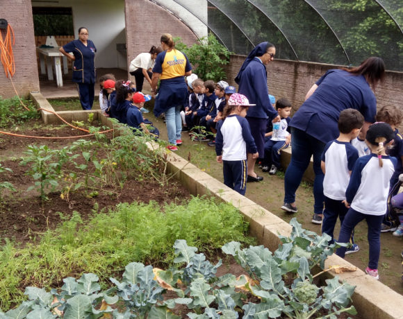 Horta